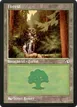 Forest #18