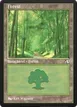 Forest #19