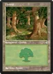 Forest #20