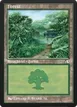 Forest #33