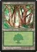 Forest #34