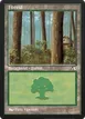 Forest #35