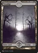 Swamp #5a