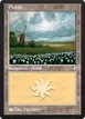 Plains #6