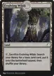 Evolving Wilds #111