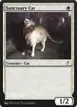 Sanctuary Cat #17