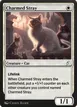 Charmed Stray #5
