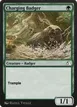 Charging Badger #91