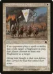 Coalition Honor Guard #3