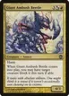 Giant Ambush Beetle #137