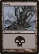 Swamp #143