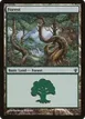 Forest #148
