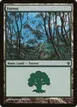 Forest #149