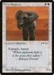 War Elephant #11