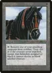 Ebony Horse #62
