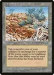Diamond Valley #73