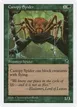 Canopy Spider #52