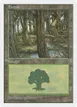 Forest #85