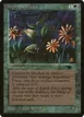 Argothian Pixies #29