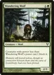 Wandering Wolf #202