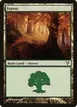 Forest #243