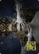 Ego Drain #12