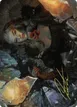 Prophetic Prism #45