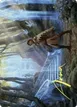 Into the Fae Court #7