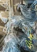 Splashy Spellcaster #9