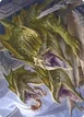 Grakmaw, Skyclave Ravager #76