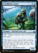 Coralhelm Guide #116