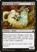Rotfeaster Maggot #157