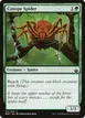 Canopy Spider #191