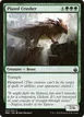 Plated Crusher #207