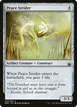 Peace Strider #243