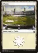 Plains #250