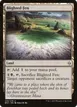 Blighted Fen #230