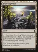 Evolving Wilds #236