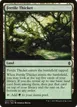 Fertile Thicket #237