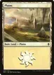 Plains #253a