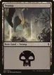 Swamp #262a