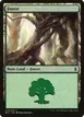 Forest #270a