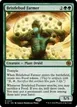 Bristlebud Farmer #17