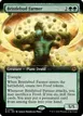 Bristlebud Farmer #82