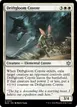 Driftgloom Coyote #11