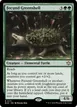 Fecund Greenshell #171