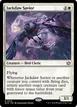 Jackdaw Savior #18
