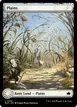 Plains #262