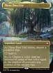 Three Tree City #338