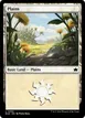 Plains #369